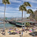 View of the harbor area at Santa Catalina Island "just 26 miles across the sea......" off the coast of california.