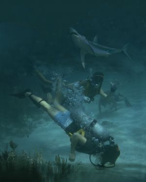 120726sharks-scuba.jpg