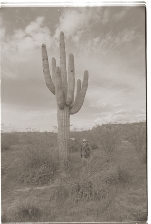 121015cowboycactus.jpg